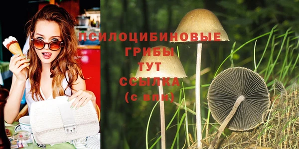 амф Абаза