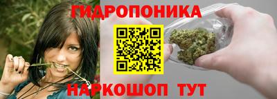 a pvp Сосновый Бор