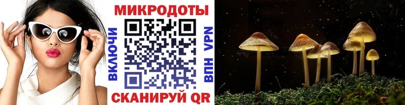 гидра ссылка  Богданович  Галлюциногенные грибы мухоморы 