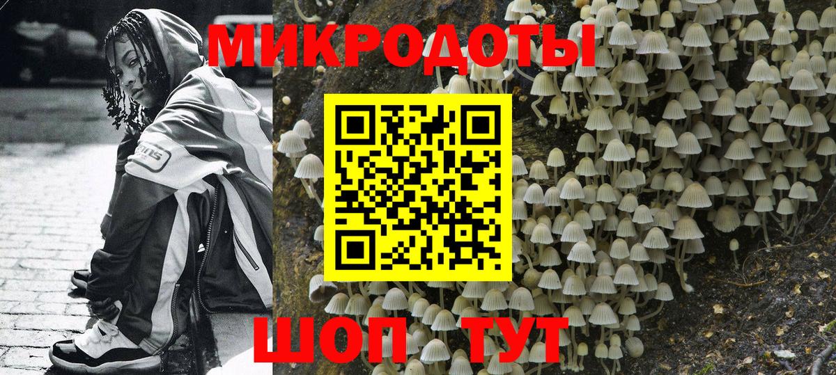Псилоцибиновые грибы прущие грибы  Вход с VPN  Богданович 