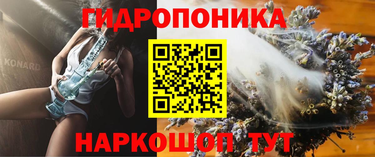 Бошки марихуана план  Марихуана семена  Вход с VPN  МАРИХУАНА Bruce Banner  Шишки марихуана планчик  Богданович 